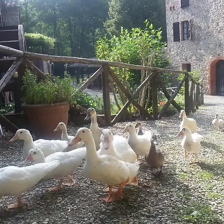 Farm stay Il Mulino Delle Pile *