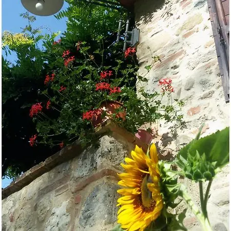 Il Mulino Delle Pile * Chiusdino