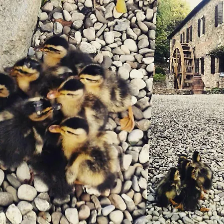 Il Mulino Delle Pile *