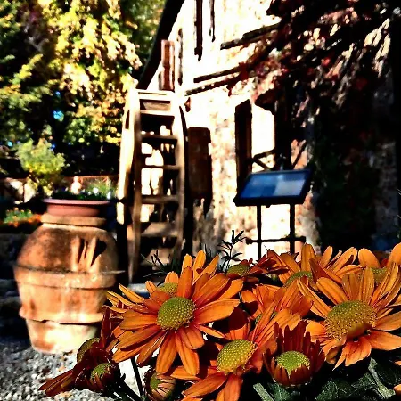 Farm stay Il Mulino Delle Pile *