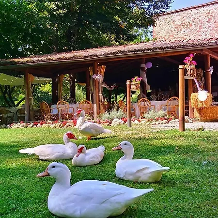 Farm stay Il Mulino Delle Pile *