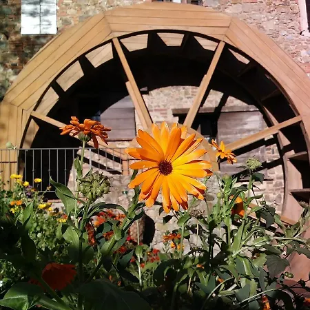 Farm stay Il Mulino Delle Pile Chiusdino