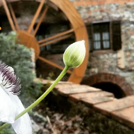 Il Mulino Delle Pile